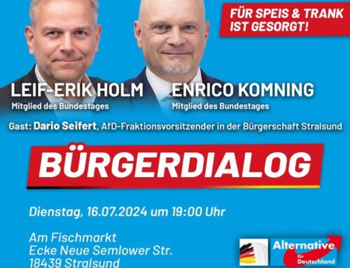 Bürgerdialog der AfD-Bundestagsfraktion in Stralsund